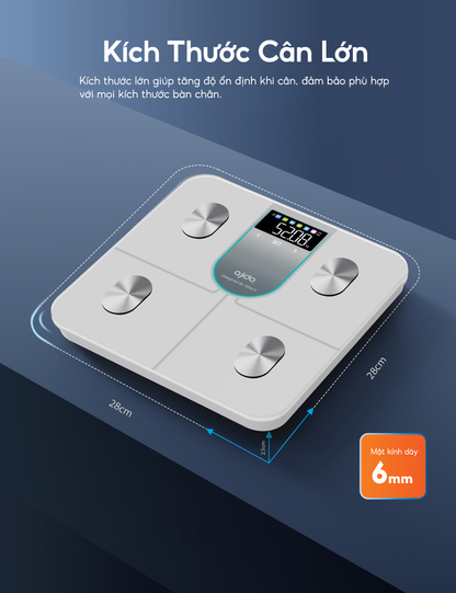 Cân thông minh Vaslist V6 Lite