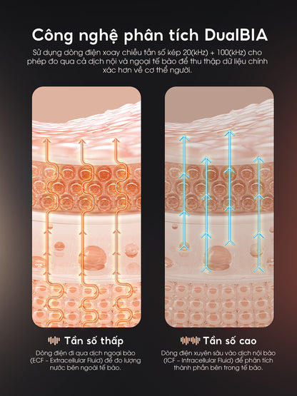 Cân thông minh Scanbody X8 Elite