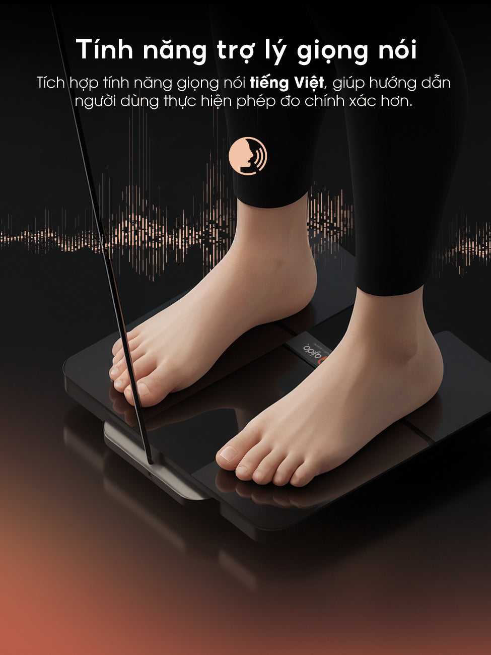 Cân thông minh Scanbody X8 Elite